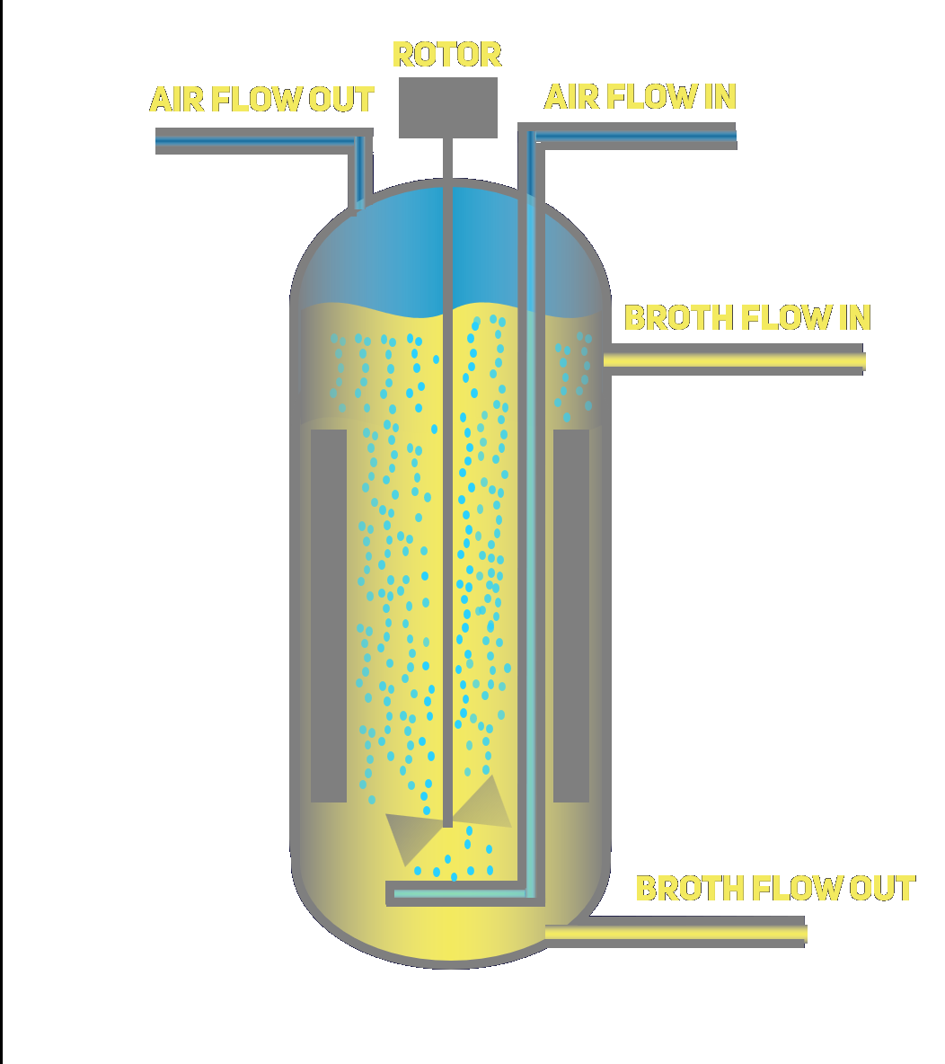 CSTR Bioreactor