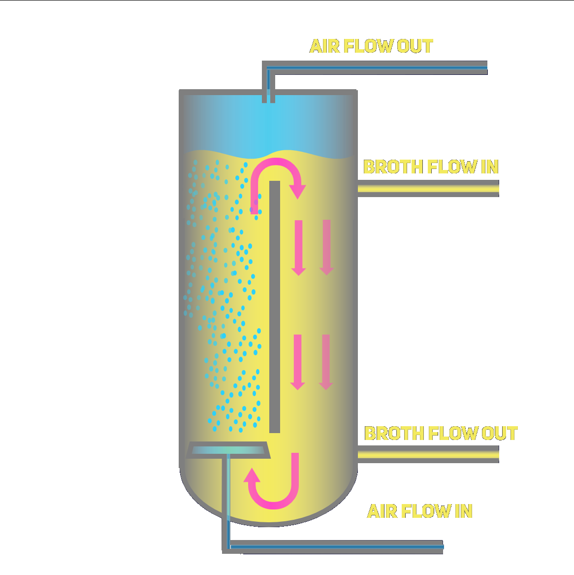 Airlift Bioreactor