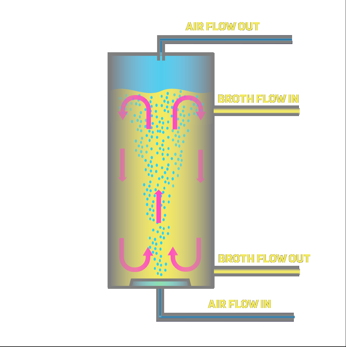 Bubble Column Bioreactor